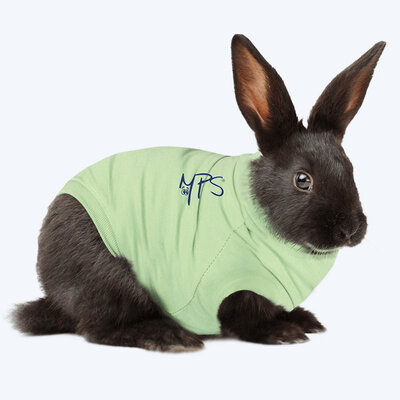MPS Shirt Rabbit 1