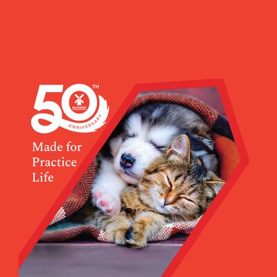 Dog and Cat 2