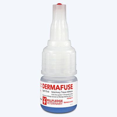 Dermafuse Bottle 2023