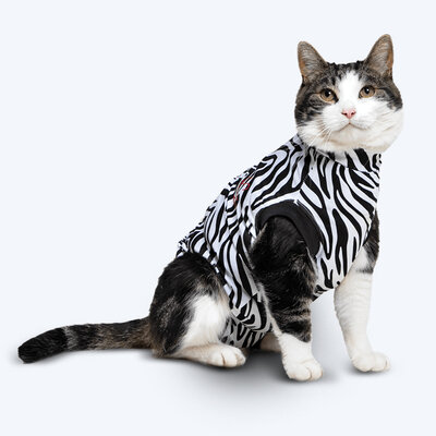 Zebra Medical Pet Shirt Cat